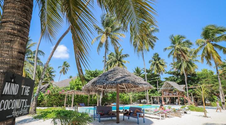 New Teddy's on the Beach