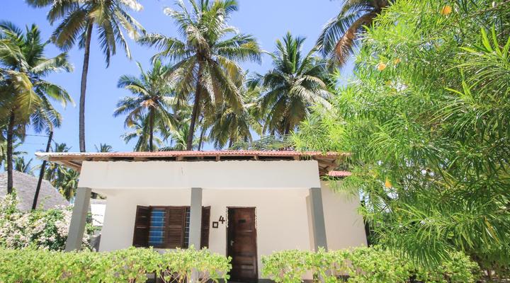 New Teddy's on the Beach