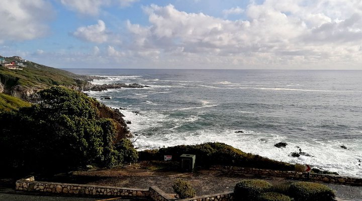 A103 Whale Cove
