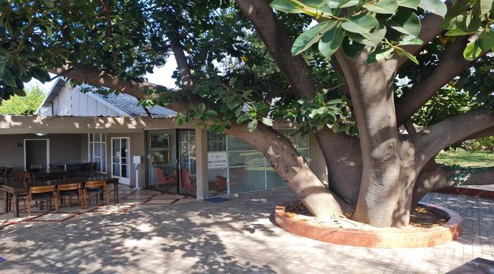 Black Swan Guest House