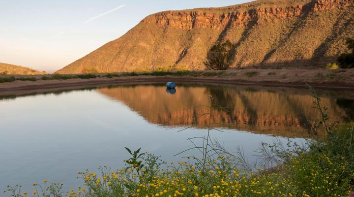 Daniel's Kraal Guest Farm