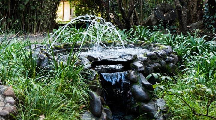 Hakunamatata Estate, Lodge & Venue