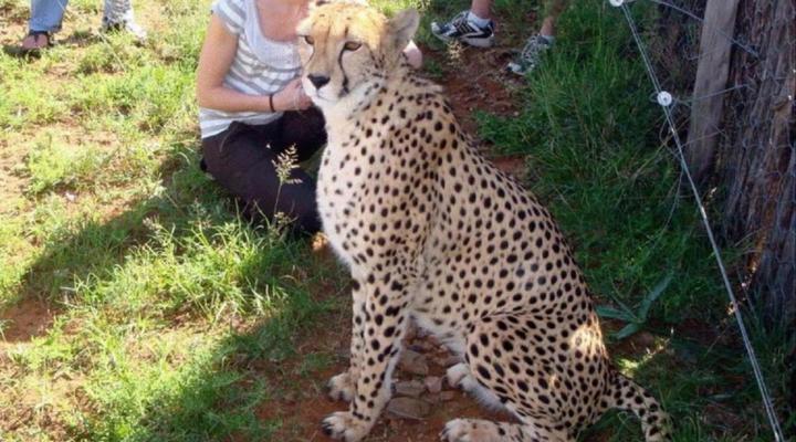 Kronenhoff Guesthouse