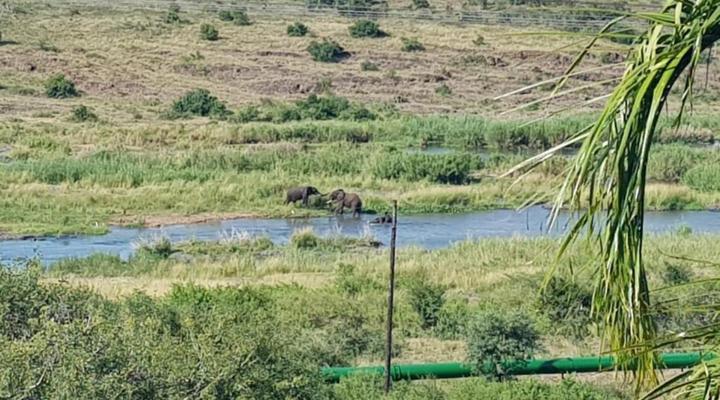 Candilabra Guesthouse