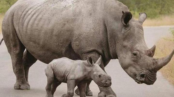 Candilabra Guesthouse