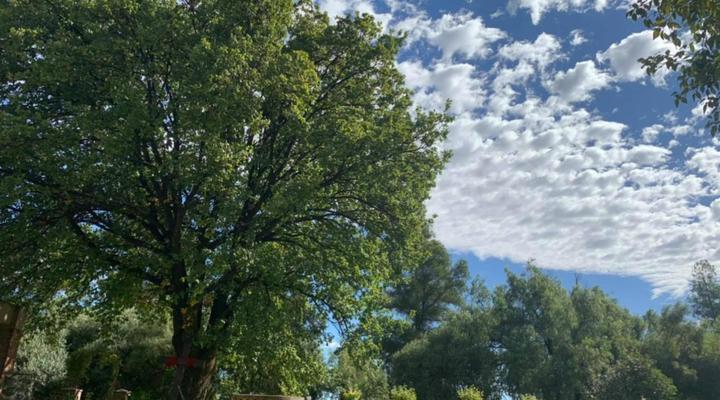 Kleinbos Self-catering