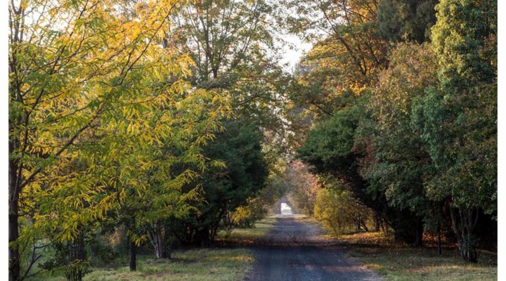 TangleWood Nature Estate