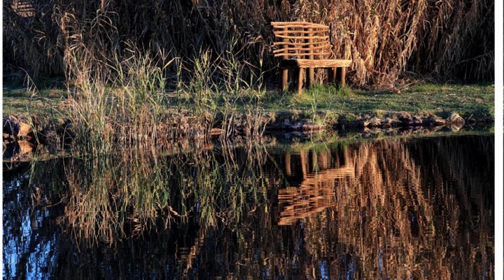 TangleWood Nature Estate