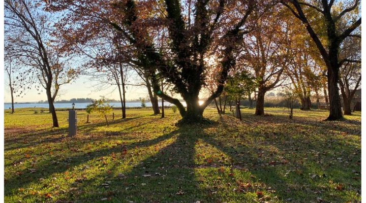 TangleWood Nature Estate