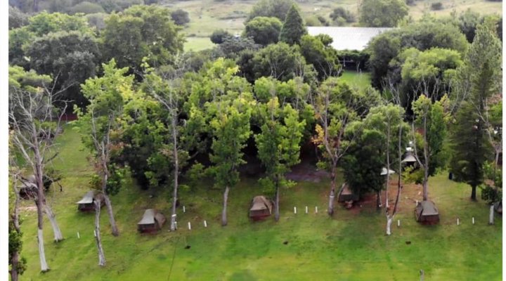 TangleWood Nature Estate