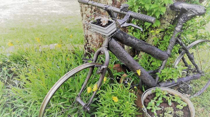 Gentle Presence Cottage