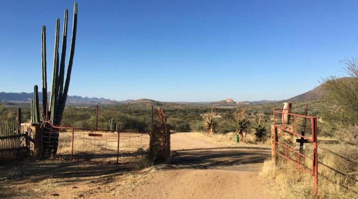 Sarima Krumhuk Guest Farm