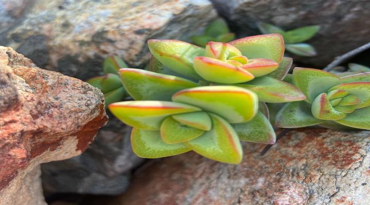 Breathe Lodge & Cottage