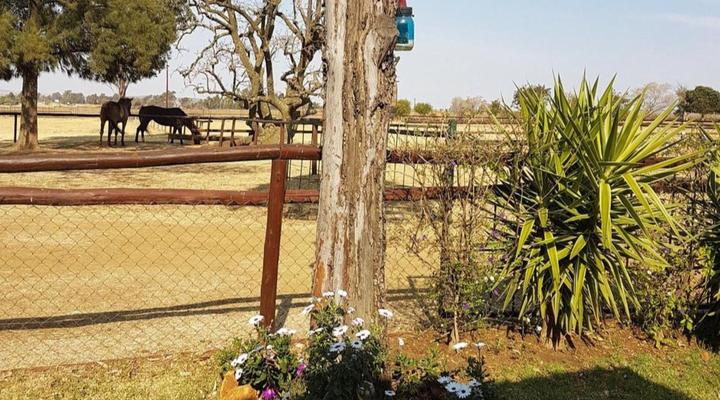 Blue Roan Country Lodge