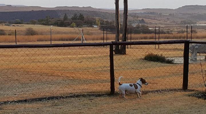 Blue Roan Country Lodge