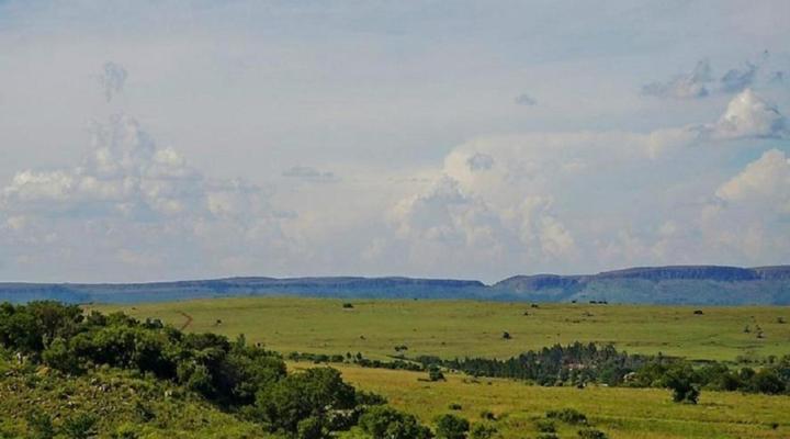 Blue Roan Country Lodge