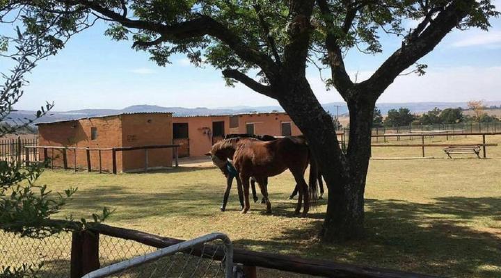 Blue Roan Country Lodge