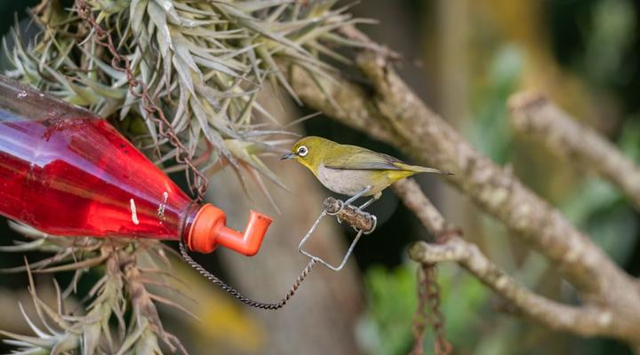 Heaven by C / Ciel par Mer