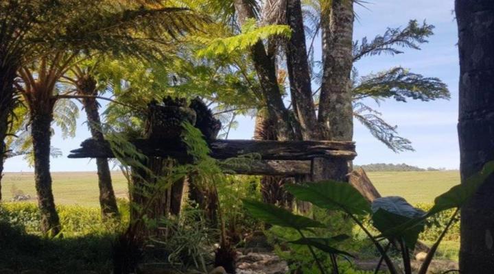 Paradise View Guesthouse