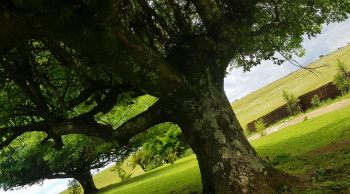 Paradise View Guesthouse