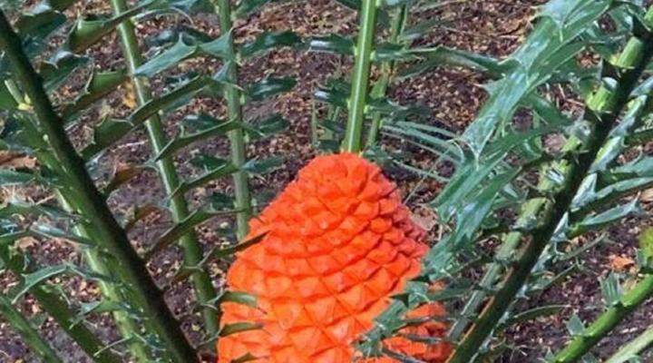 Sodwana Bay Lodge, House 31