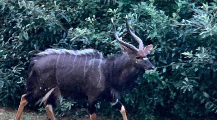 Sodwana Bay Lodge, House 31