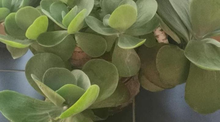 GS and Y Bed and Breakfast