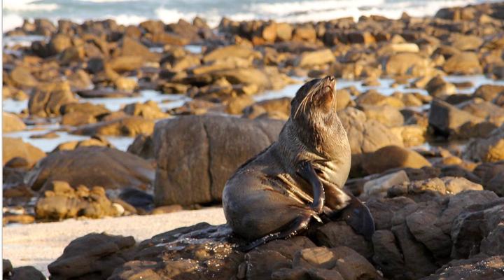 BlueSky Guest House Arniston
