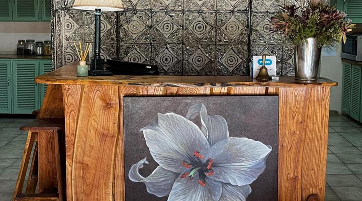 OppiPlasie Guest House