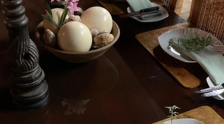 OppiPlasie Guest House