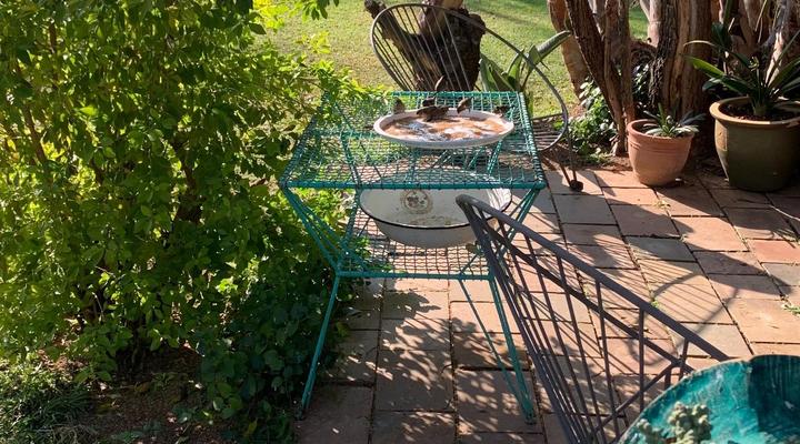 OppiPlasie Guest House