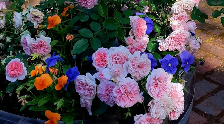 La Rochelle Guesthouse