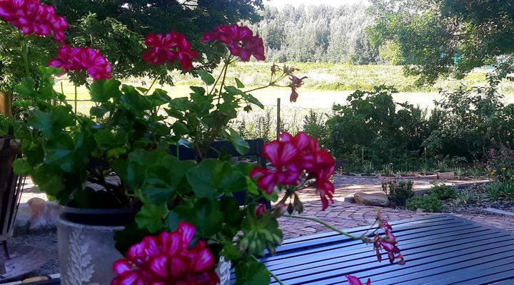 La Rochelle Guesthouse