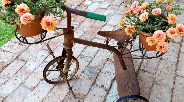 La Rochelle Guesthouse