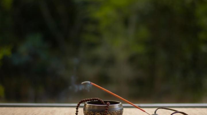 Bushwillow Collection