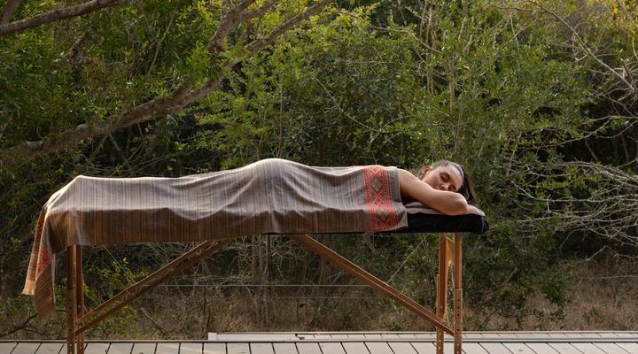 Bushwillow Collection