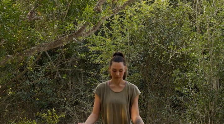 Bushwillow Collection