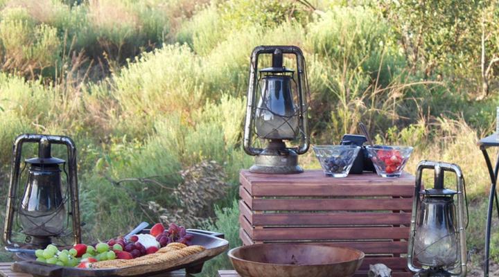 Bushwillow Collection