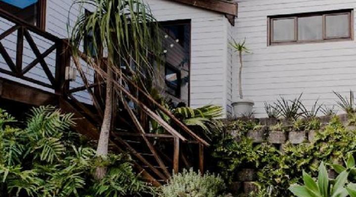 At Whale-phin Guest House