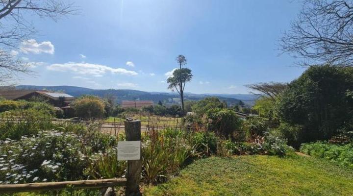 A Bird Cage Stay & Cottage