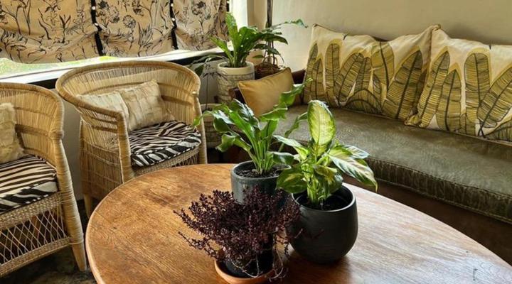 A Bird Cage Stay & Cottage