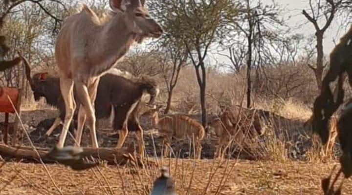 Raas en Rus Game Farm