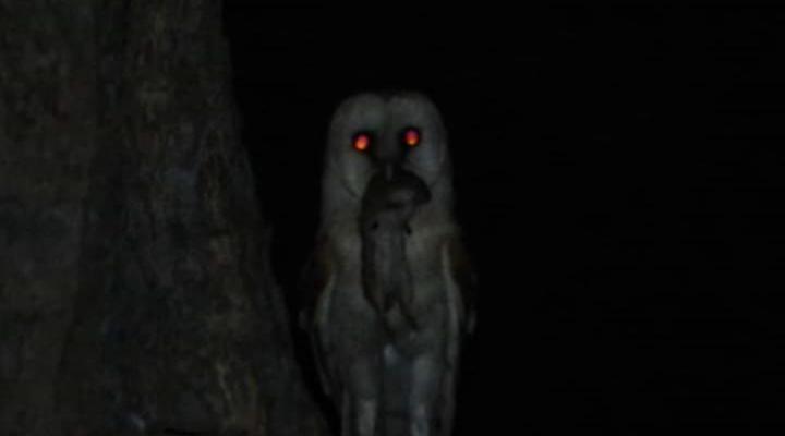 Raas en Rus Game Farm