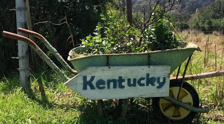 A Farm Life