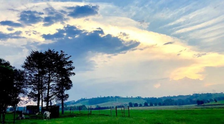 A Farm Life
