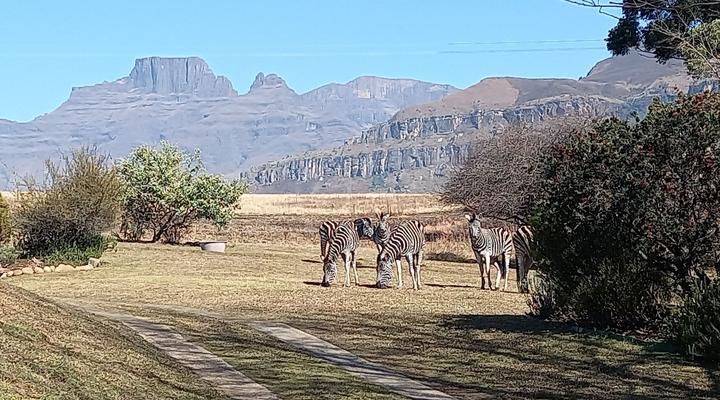 Misty Peaks Cloudlands