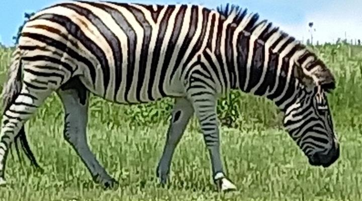 Misty Peaks Cloudlands