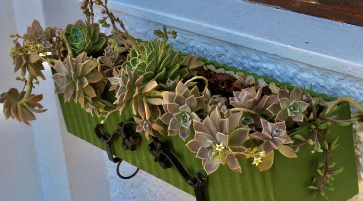 Whistlewood Guest House