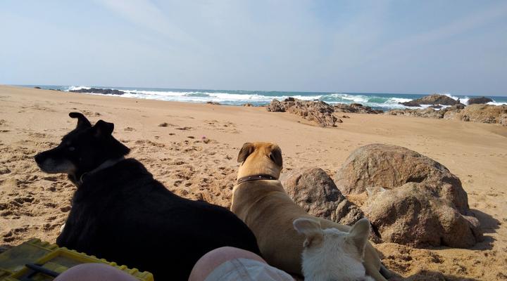 Jacobs Cottage by the Ocean