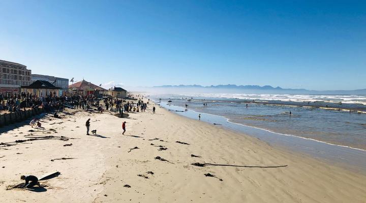 Cape Capsules Backpackers